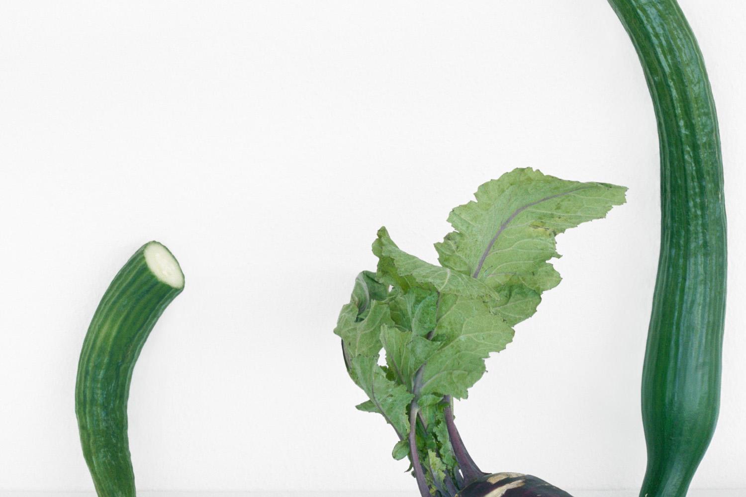 Cucumbers & Kohlrabi: Farb-Stillleben-Fotografie von lila und grünen Gemüse – Photograph von David Halliday
