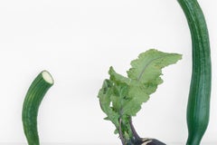 Cucumbers & Kohlrabi: Color Still Life Photograph of Purple & Green Vegetables