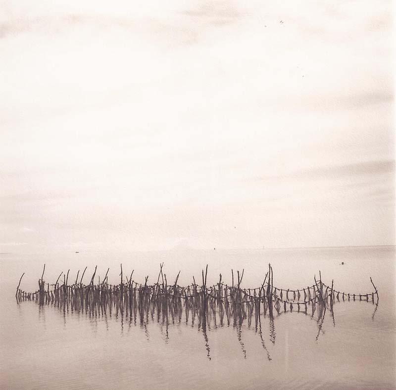David Halliday Still-Life Photograph – Fischnetzleuchte (Sepiafarbene, getönte Landschaft aus Netz in Wasser und Reflektion aus Tonga)