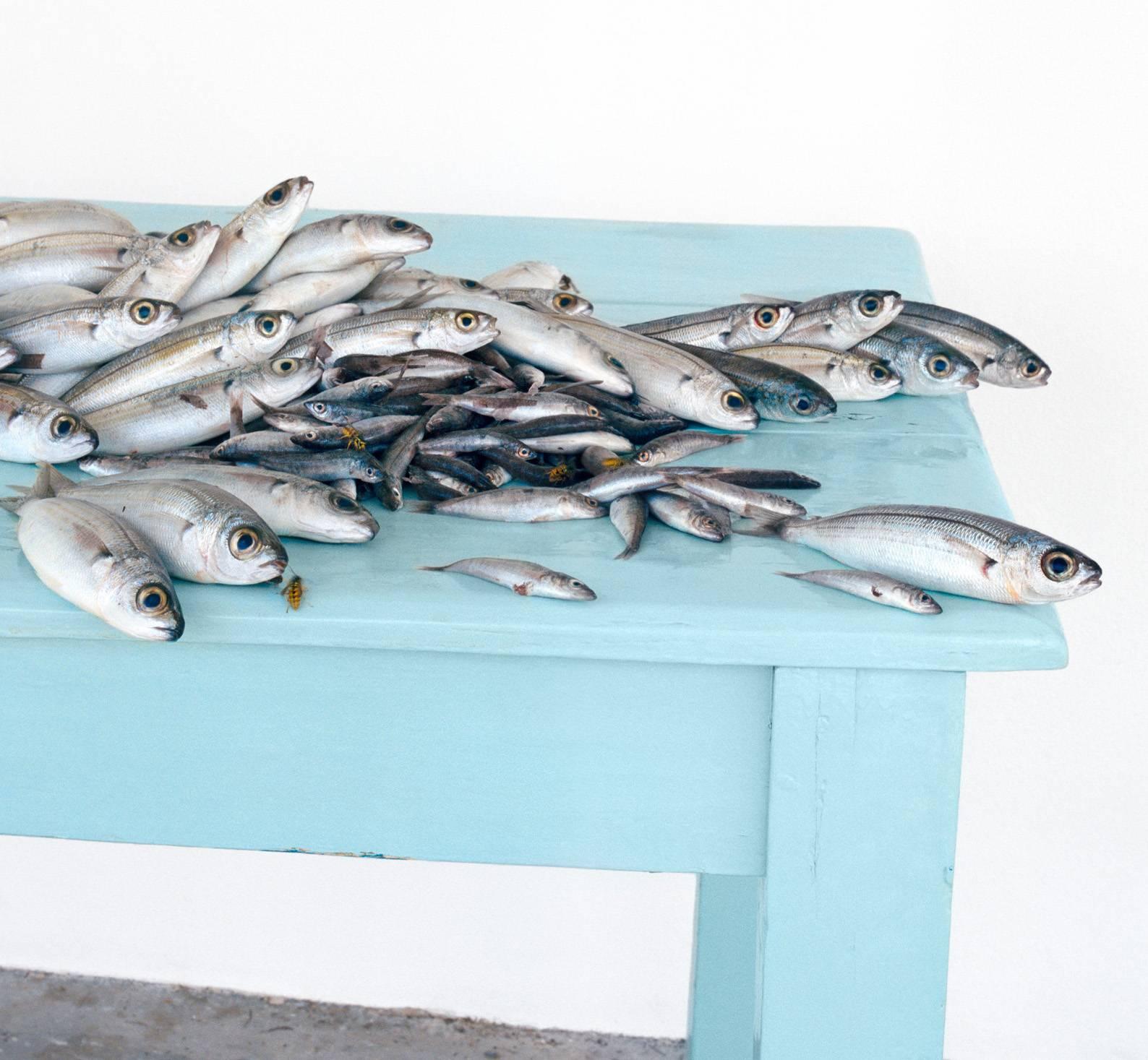 Fish on Blue (Femmes mortes de poissons en argent sur table de ferme) - Photograph de David Halliday