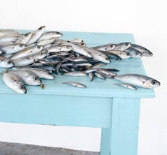 Fish on Blue (Femmes mortes de poissons en argent sur table de ferme)
