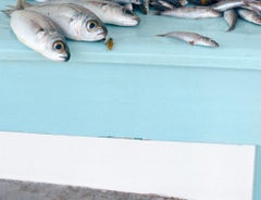 Fish on Blue (Still Life Photograph of Silver Fish on a Pastel Blue Table)