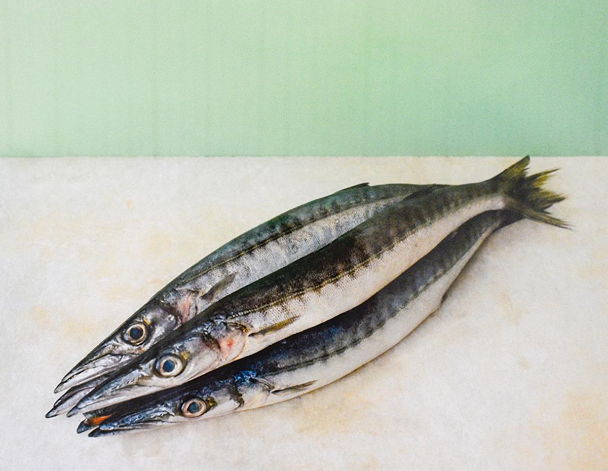 Fünf Fische (Color Food Stillleben Fotografie eines Fisches auf einer Tischplatte in Mintgrün)