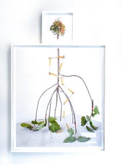 Flotsam a Fig Limb: Framed Still Life Photograph Measuring Stick & Ocean Debris