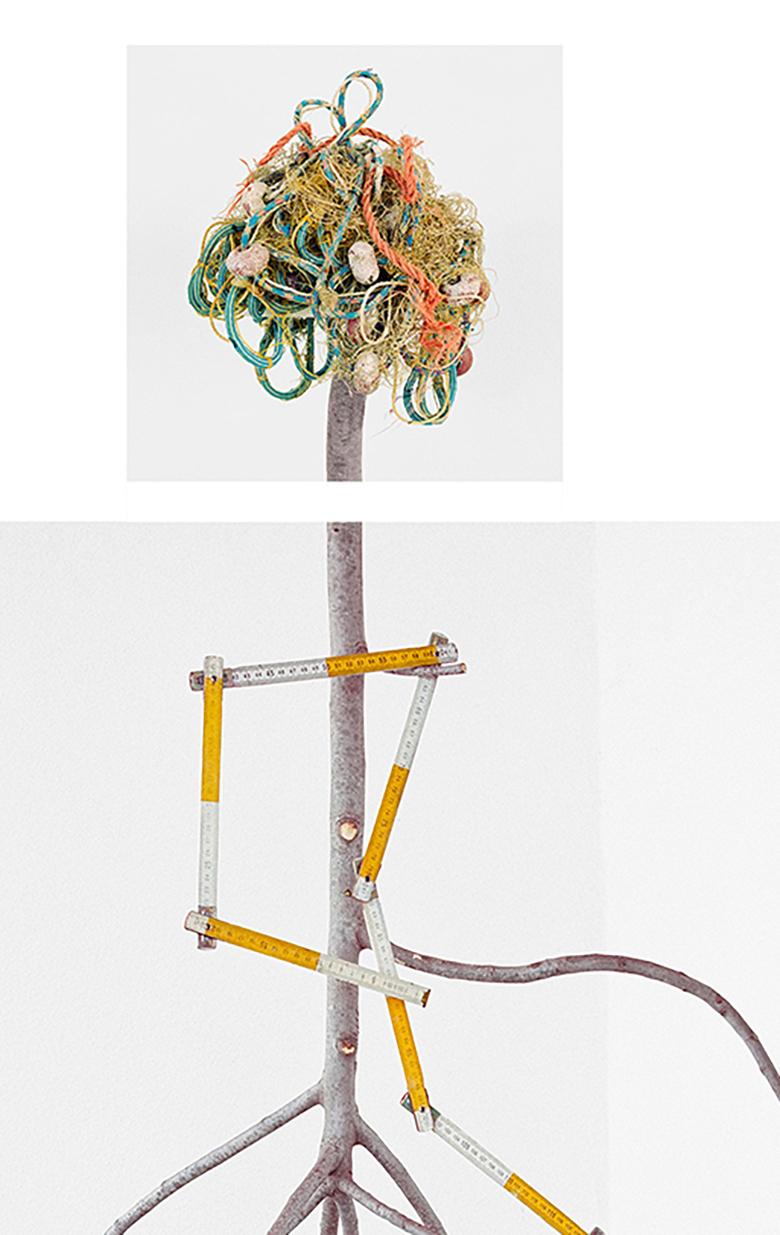 Flotsam & Fig Limb: Stillleben-Fotografie mit figurativen Zweigen und Seil – Photograph von David Halliday