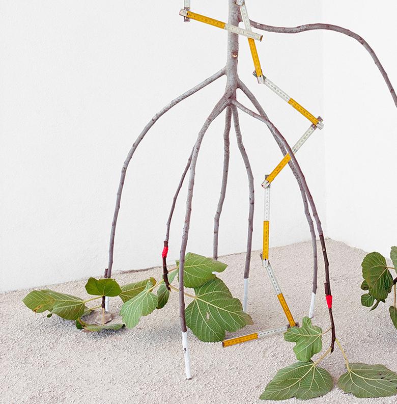 Color still life photograph of figurative fig branches with green leaves, measuring stick, and colorful nautical rope against a white and light beige background
Flotsam and Fig Limb, 2017
57 X 37 inches unframed  and made to order
archival pigment