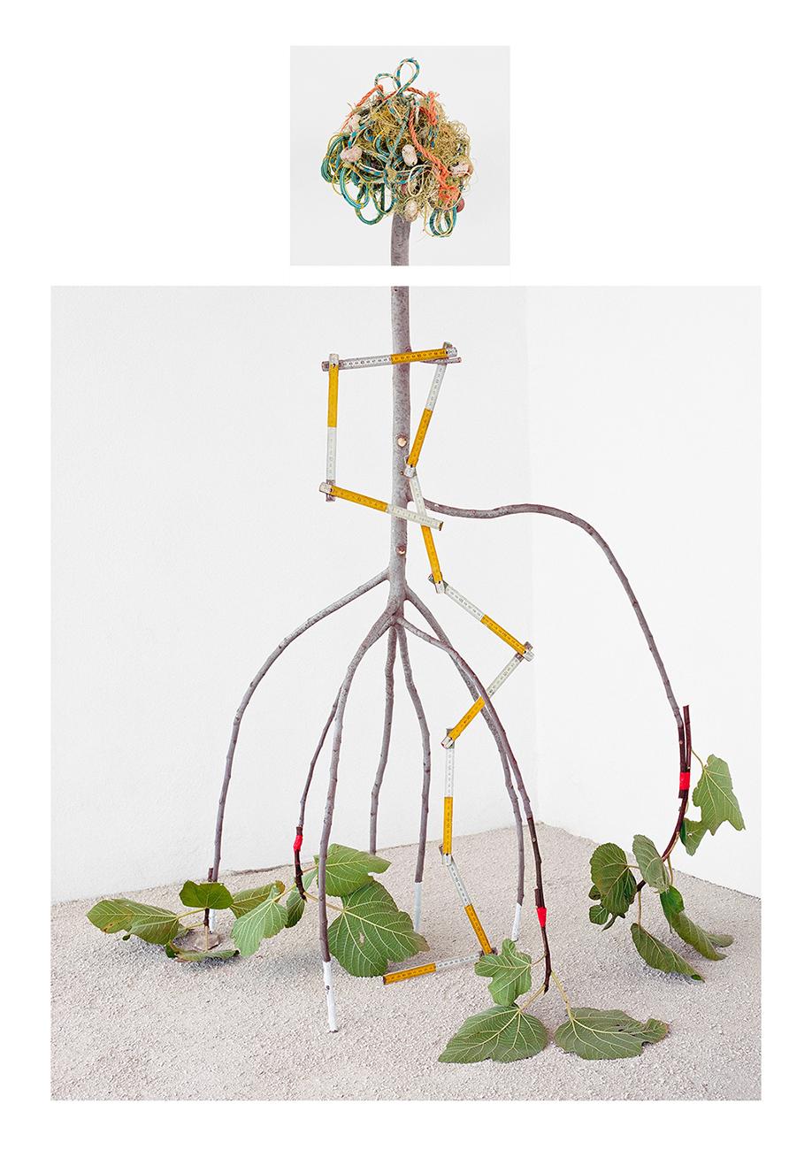David Halliday Color Photograph – Flotsam & Fig Limb: Stillleben-Fotografie mit figurativen Zweigen und Seil