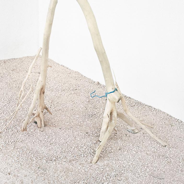 Figurative still life photograph of white branches with a blue bag of garlic 
Garlic (Blue Bag), 2018
Shot in Greece by David Halliday
archival pigment print, ed. of 10
23.5 x 16 inches in white wood artist made frame
Also available unframed 22 x 14
