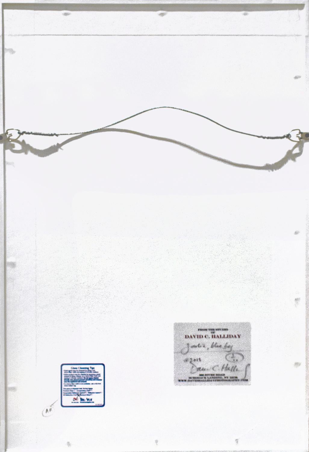 Garlic (Blaue Tasche): gerahmte figurative Stilllebenfotografie auf Weiß im Angebot 2