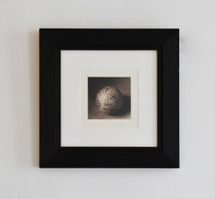 Golf Ball: Still Life Photograph of a White Golf Ball, Handmade Dark Wood Frame