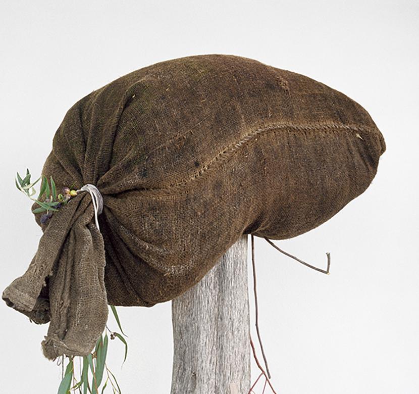 La moisson d'oliviers (photo de nature morte de branches d'arbres et d'un sac d'oliviers en toile de jute) - Photograph de David Halliday