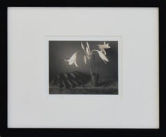 Lilies & Plantains: Sepia Toned Still Life Photograph of Flowers and Fruit