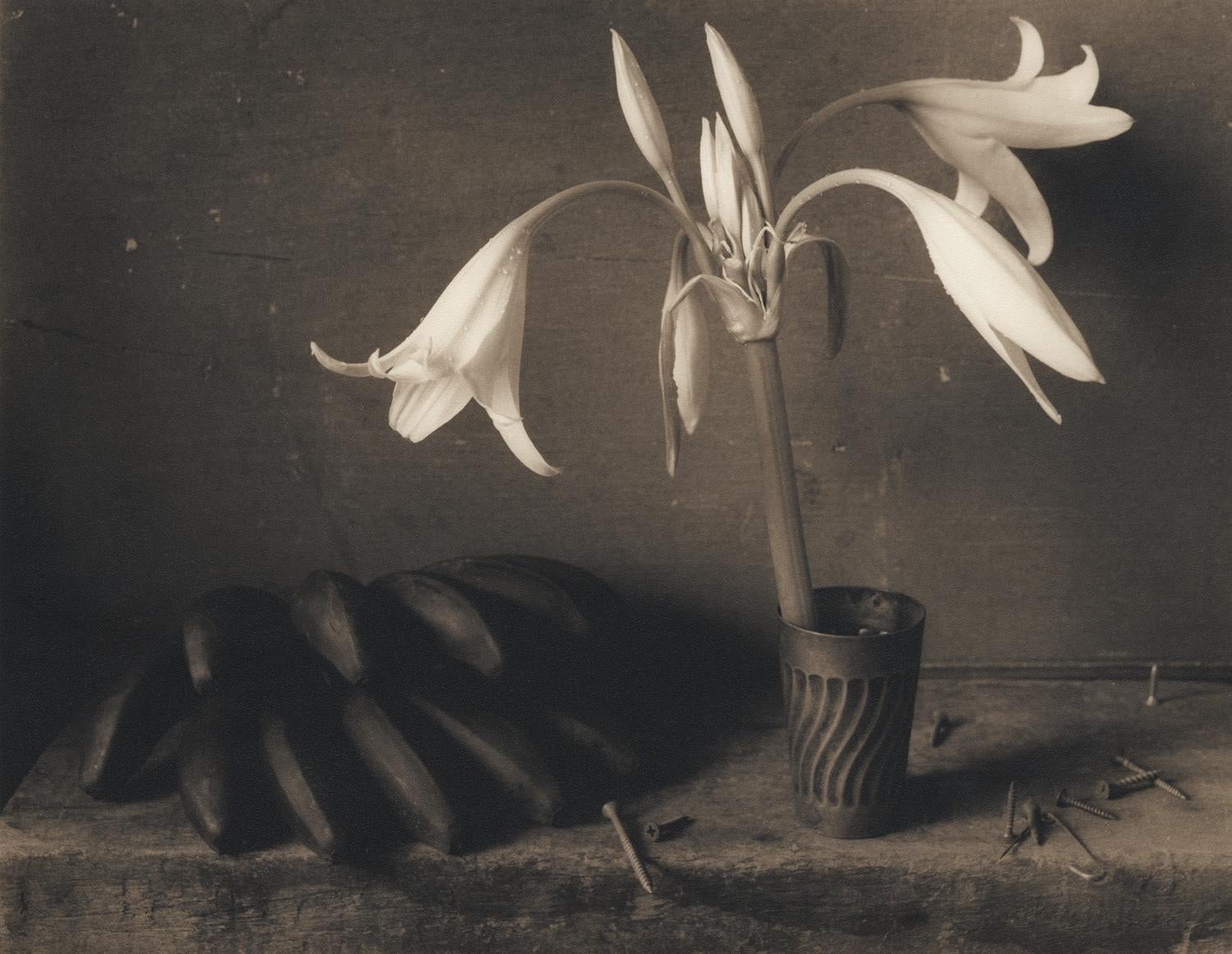 Lilien und Pflanzgefäße: Sepia Toned Stillleben Fotografie von Blumen und Früchten