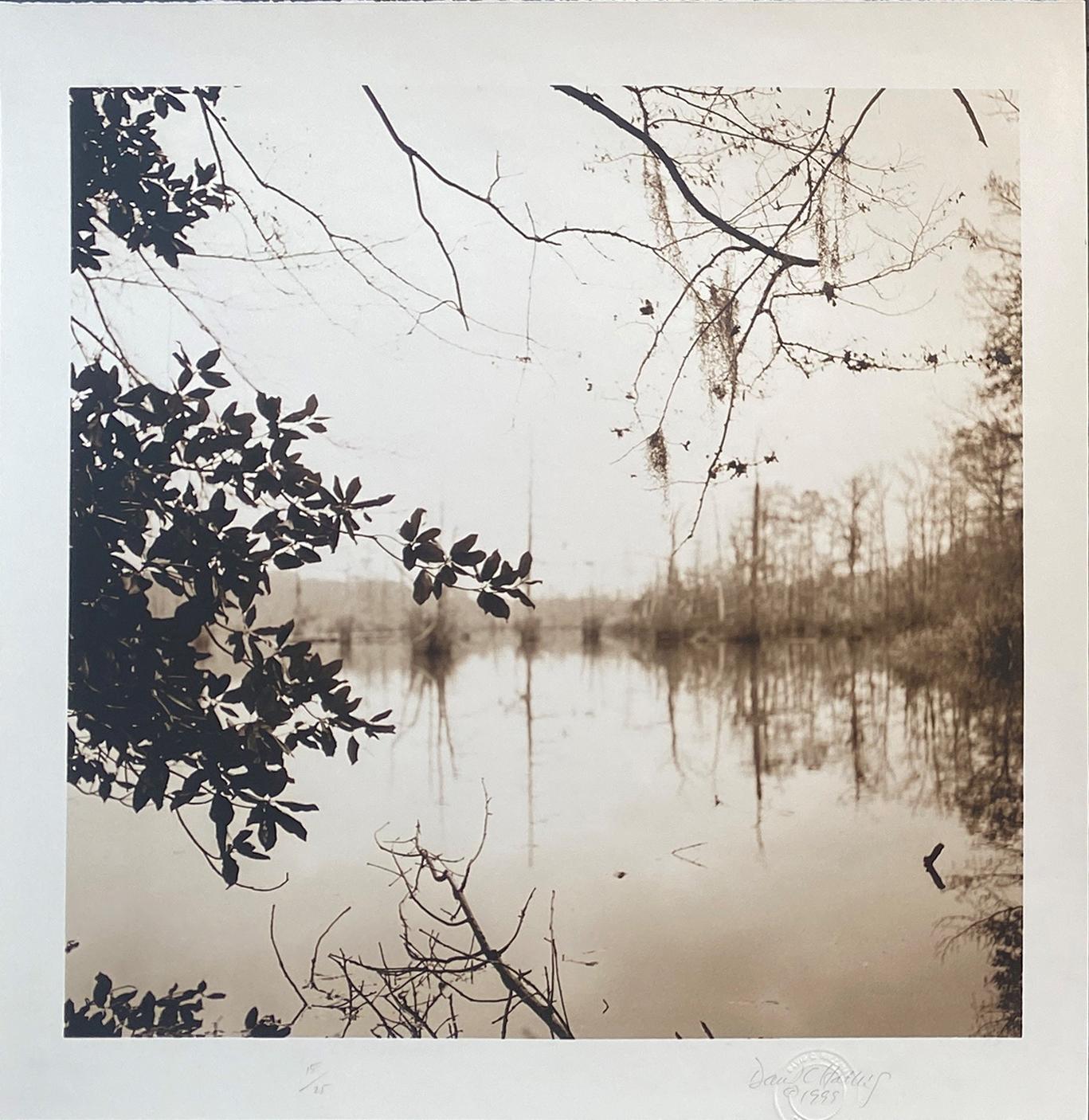 Lago espejado (Fotografía de paisaje de Luisiana en tono sepia, sin enmarcar)) - Photograph de David Halliday