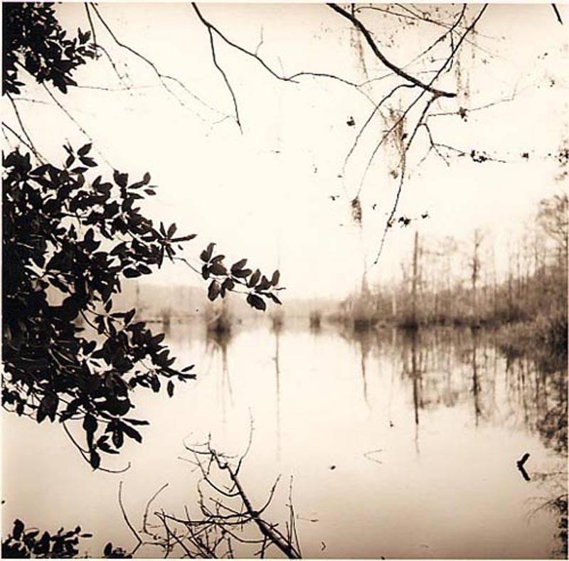 Landscape Photograph de David Halliday - Lago espejado (Fotografía de paisaje de Luisiana en tono sepia, sin enmarcar))