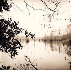 Mirrored Lake (Sepia tone Louisiana Landscape Photograph, Unframed))