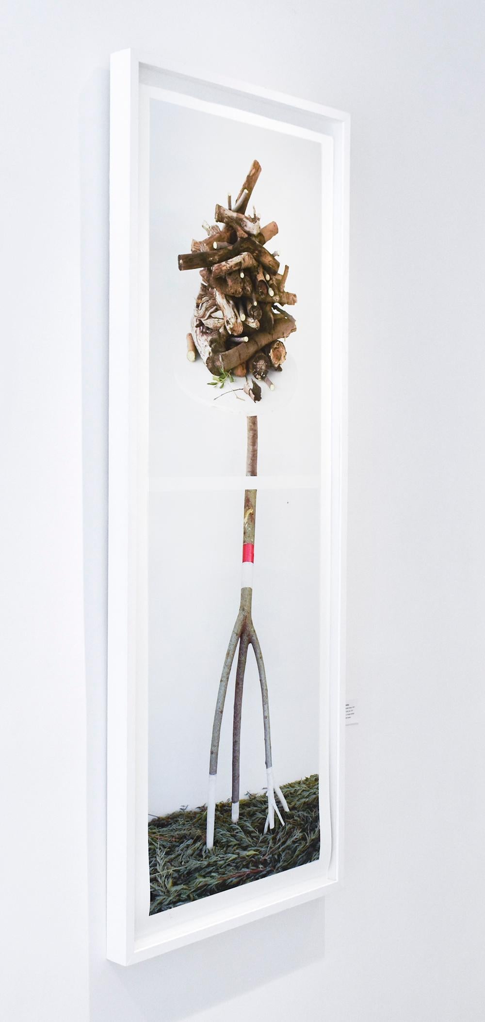 Gerahmte figurative Stillleben-Fotografie aus Holz, Lavendelgrün  (Zeitgenössisch), Photograph, von David Halliday