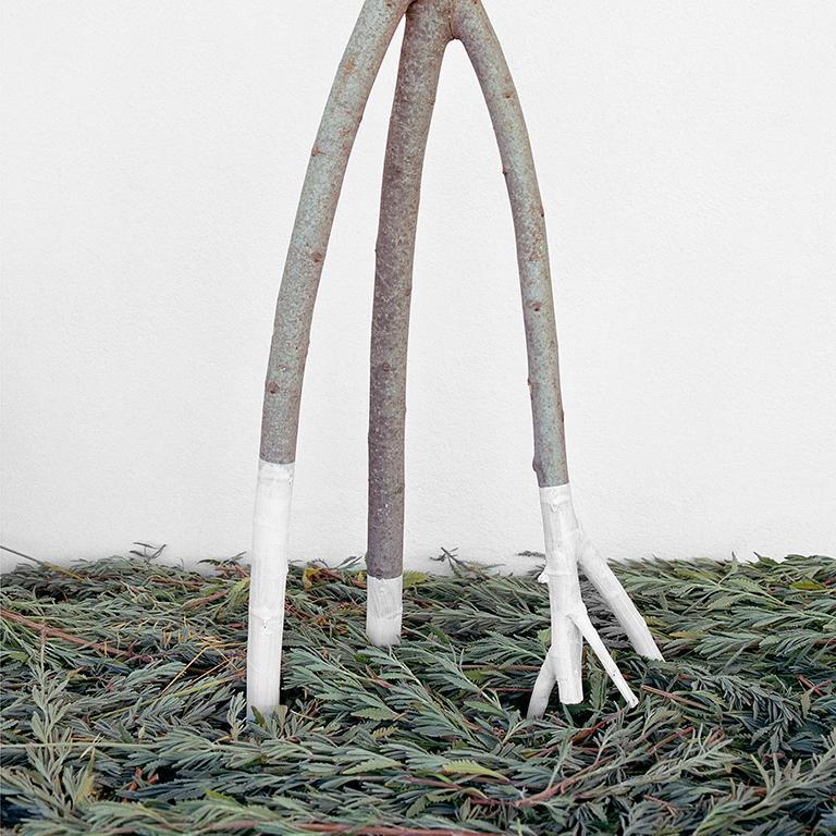 Gerahmte figurative Stillleben-Fotografie aus Holz, Lavendelgrün  im Angebot 1