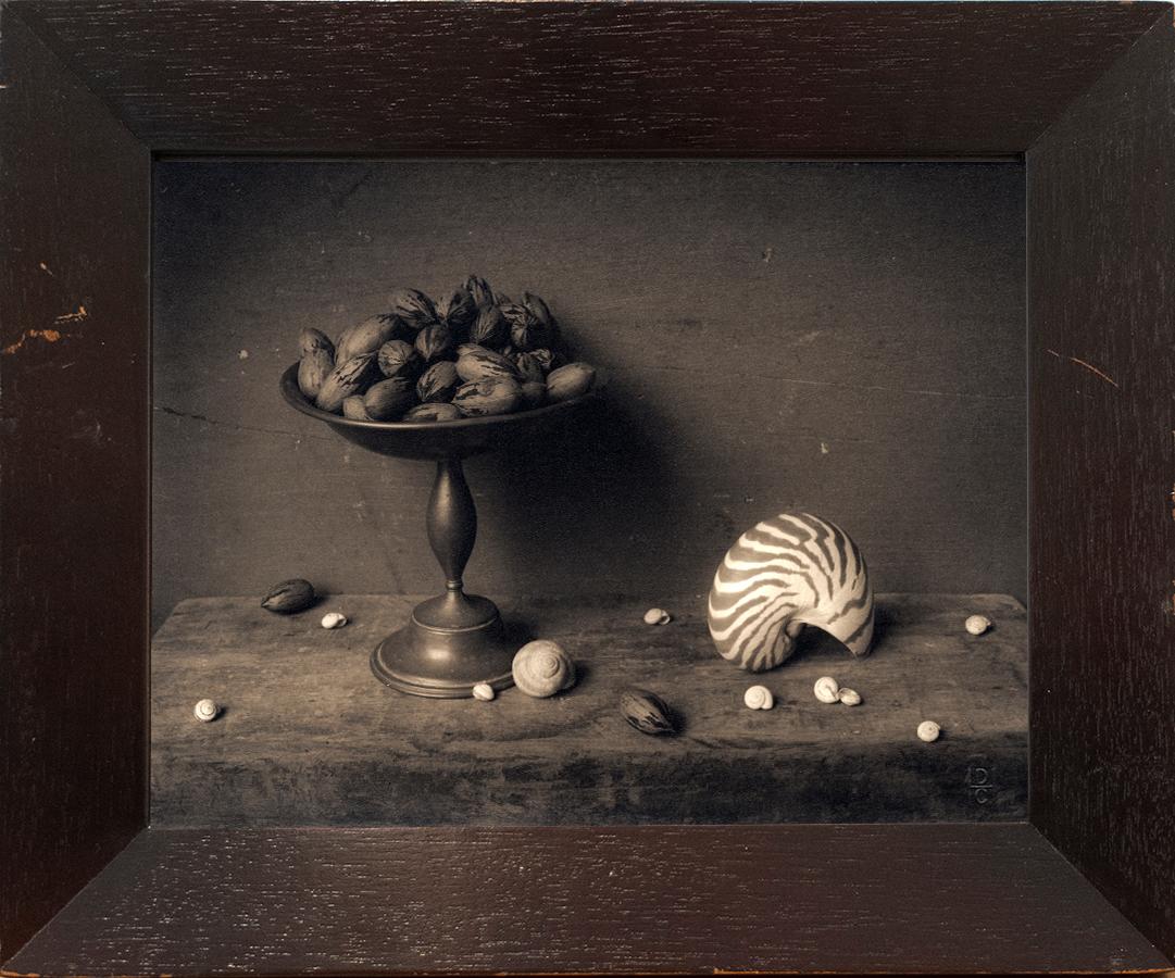 Pecans & Shell (Surrealist Still life Composition, Silver Gelatin Print, Framed) – Photograph von David Halliday