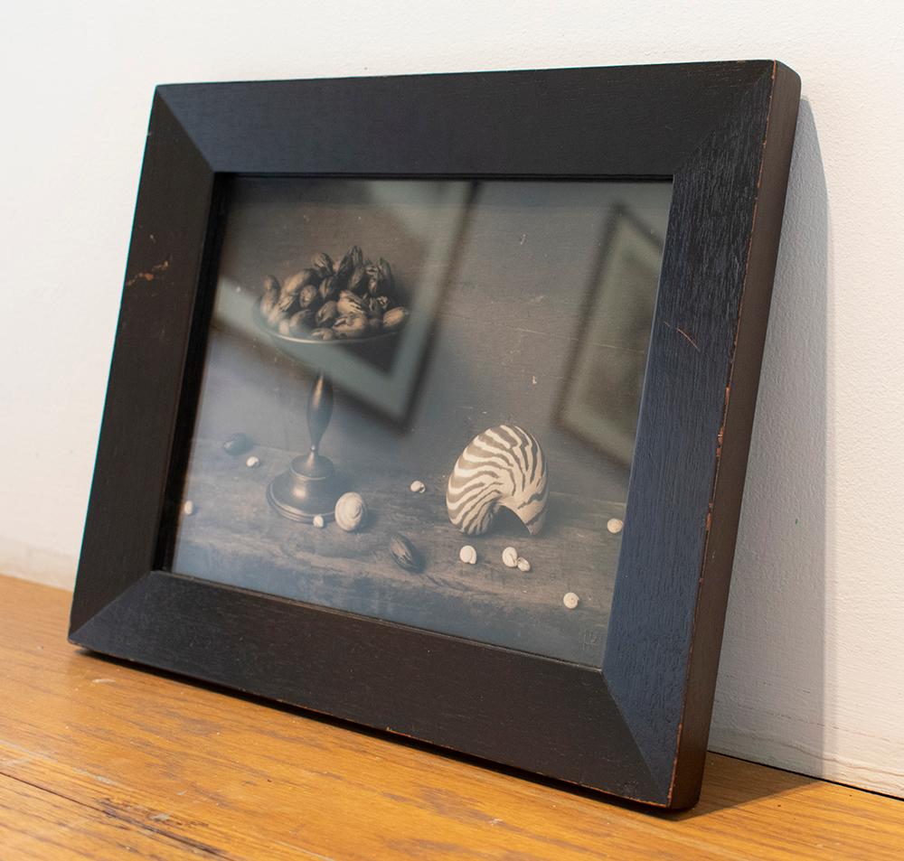 Pecans & Shell (Surrealist Still life Composition, Silver Gelatin Print, Framed) (Zeitgenössisch), Photograph, von David Halliday