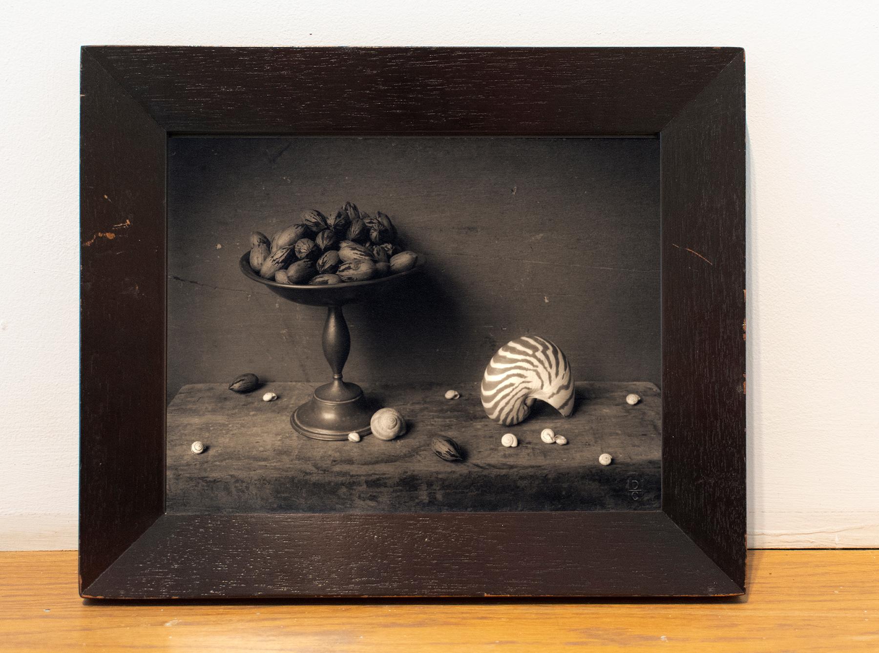 Pecans & Shell (Surrealist Still life Composition, Silver Gelatin Print, Framed) (Schwarz), Black and White Photograph, von David Halliday