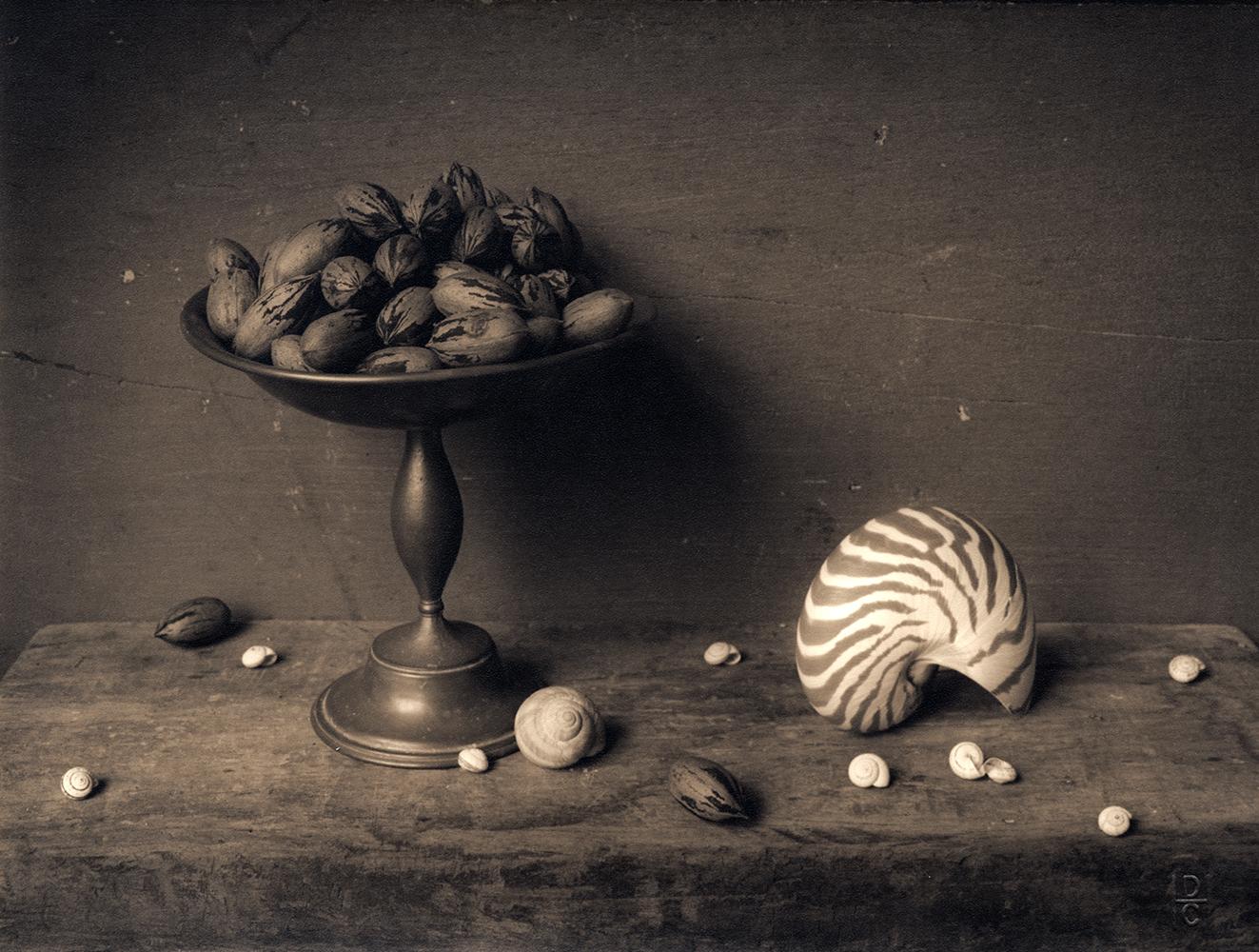 David Halliday Black and White Photograph – Pecans & Shell (Surrealist Still life Composition, Silver Gelatin Print, Framed)