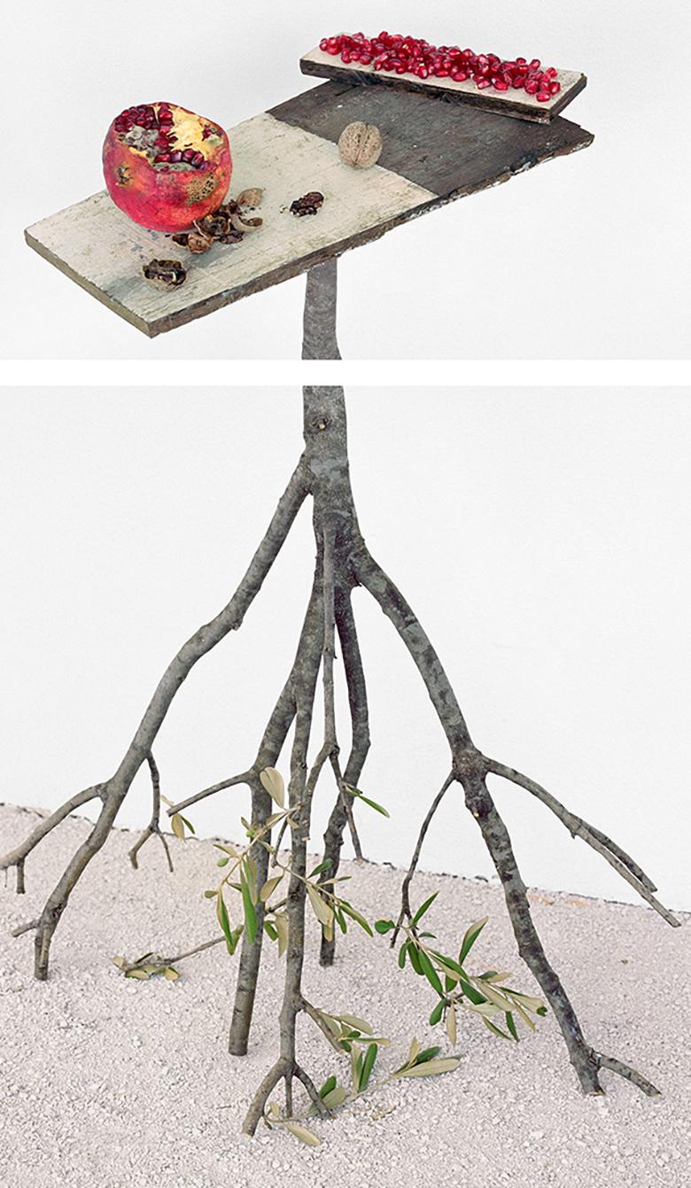 Nature morte en couleur de grenades et de noyers - Contemporain Photograph par David Halliday