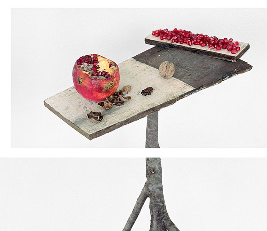 Granatäpfel und Walnussholz: Farbstillleben Fotografie von Früchten und Olivenzweigen – Photograph von David Halliday