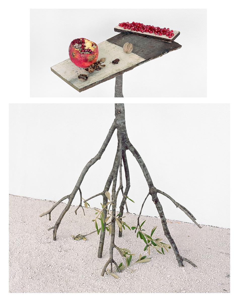 David Halliday Color Photograph – Granatäpfel und Walnussholz: Farbstillleben Fotografie von Früchten und Olivenzweigen
