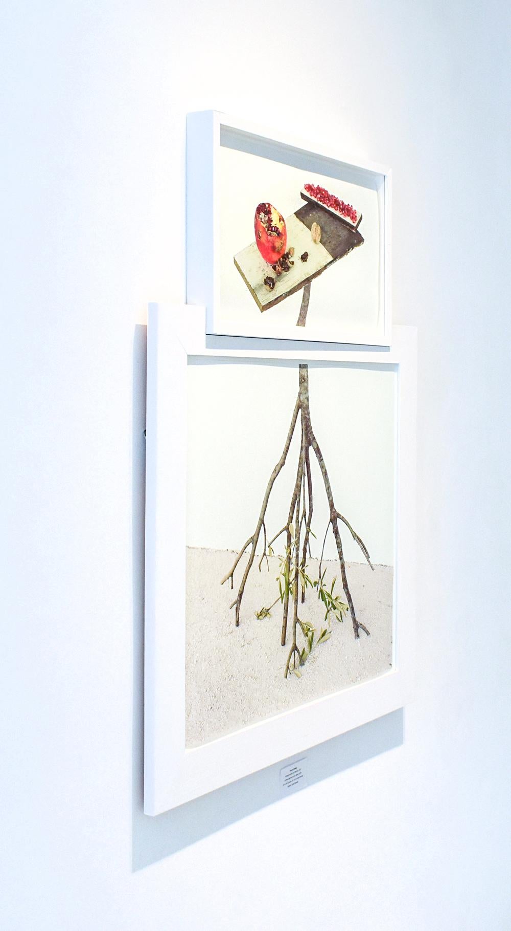 Pomegranates & Walnuts: Framed Still Life Photograph of Fruits & Olive Branches - Gray Still-Life Photograph by David Halliday