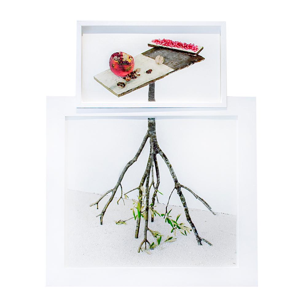 Granatäpfel und Walnussholz: Gerahmte Stilllebenfotografie von Früchten und Olivenzweigen (Grau), Still-Life Photograph, von David Halliday