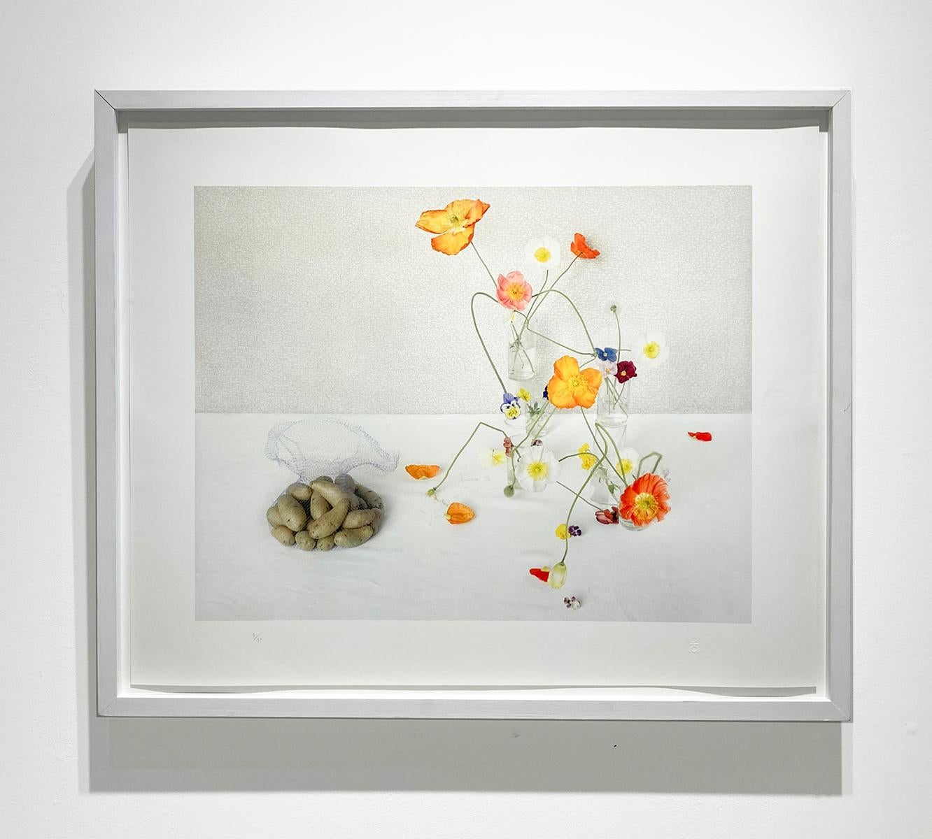 Coquelicots et pommes de terre (Nature morte de fleurs et de légumes sur fond blanc) - Photograph de David Halliday