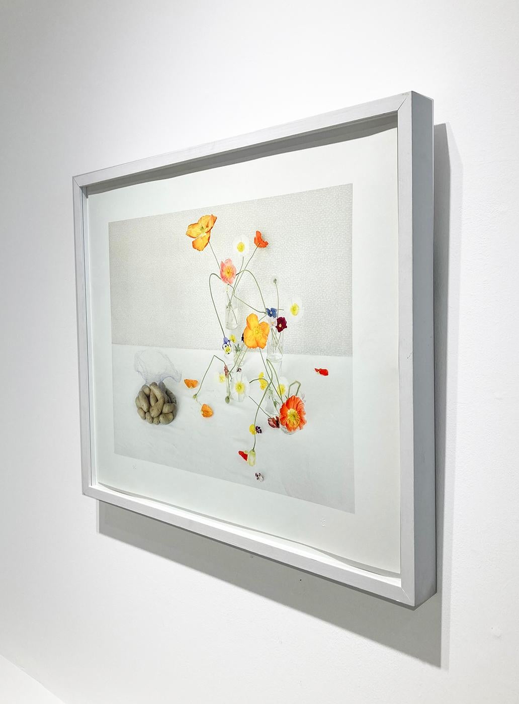 Coquelicots et pommes de terre (Nature morte de fleurs et de légumes sur fond blanc) - Contemporain Photograph par David Halliday