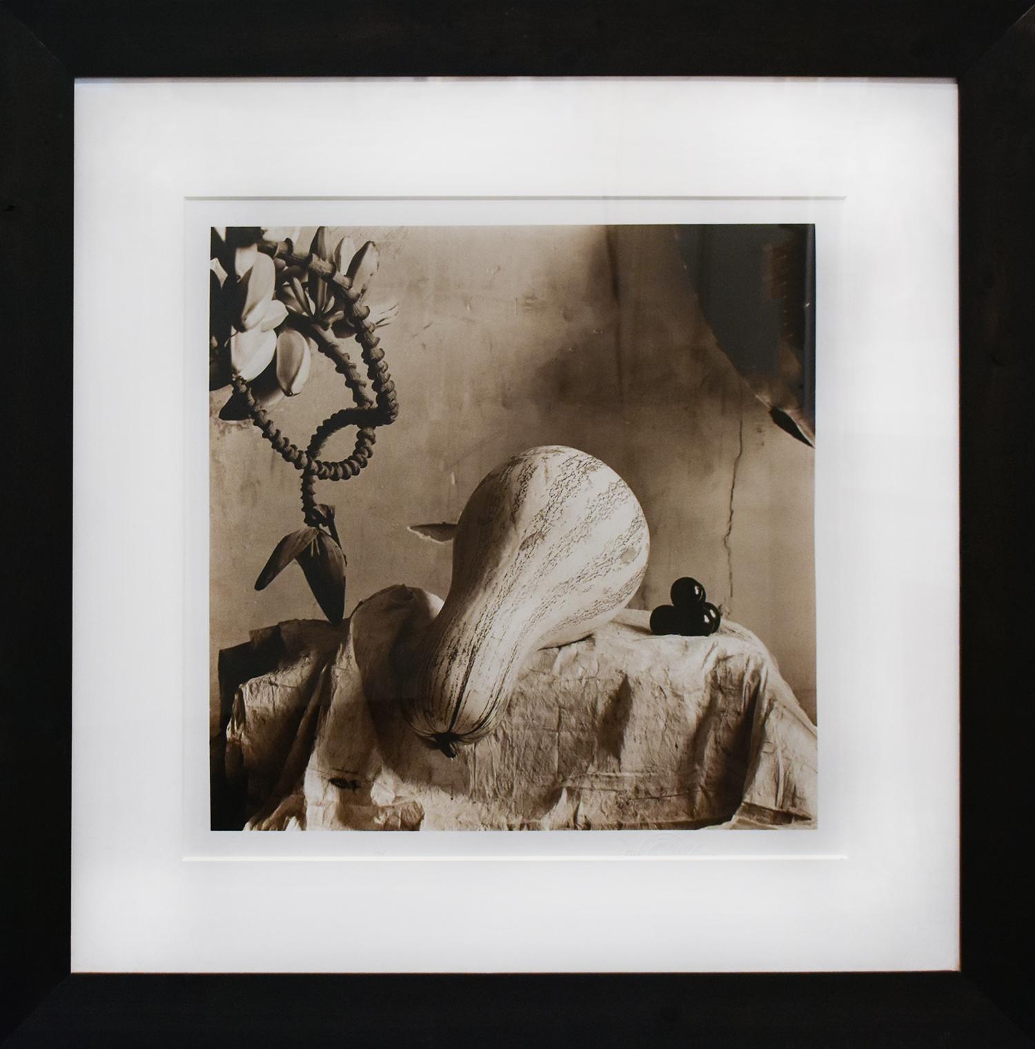 Nature morte avec cushaw (Photographie de nature morte sépia de légumes, encadrée)  - Marron Still-Life Photograph par David Halliday