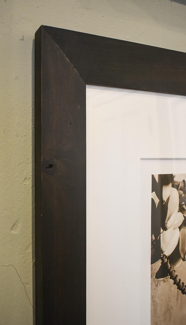 Zeitgenössisches Stilleben, sepia getöntes Foto von Cushaw Squash, schwarzen Kirschen und Bananenstauden auf einer Tischplatte von David Halliday
Sepia getönter Silbergelatineabzug, Auflage 1 von 25
17.5 x 17,5 Zoll ungerahmt
23 x 35,5 Zoll in