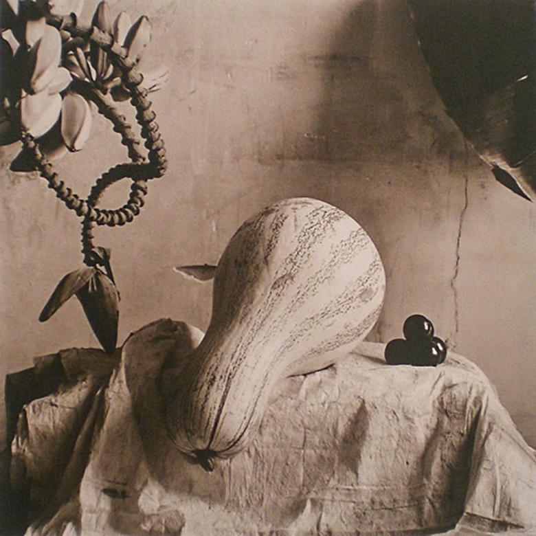 Still-Life Photograph David Halliday - Nature morte avec cushaw (Photographie de nature morte sépia de légumes, encadrée) 