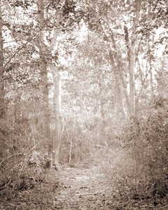 Two Unframed Photographs by David Halliday