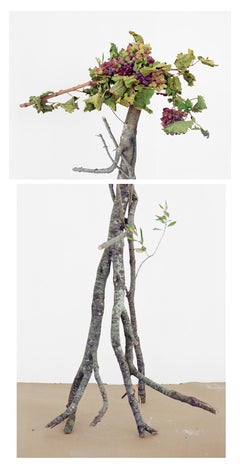 Walking Grapes : Photographie de nature morte figurative de raisins et de branches