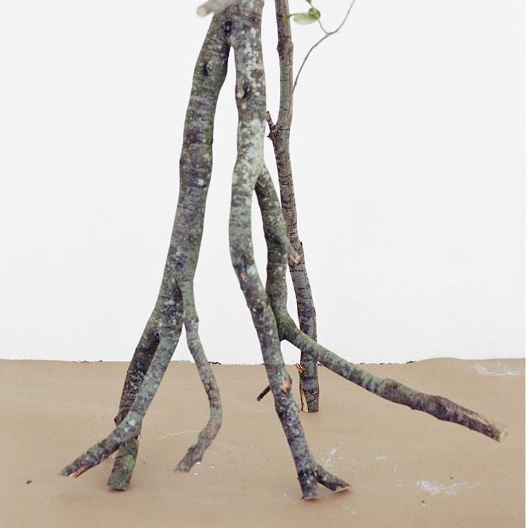 Walking Grapes: Figurative Stillleben-Fotografie von Trauben und Zweigen (Grau), Still-Life Photograph, von David Halliday