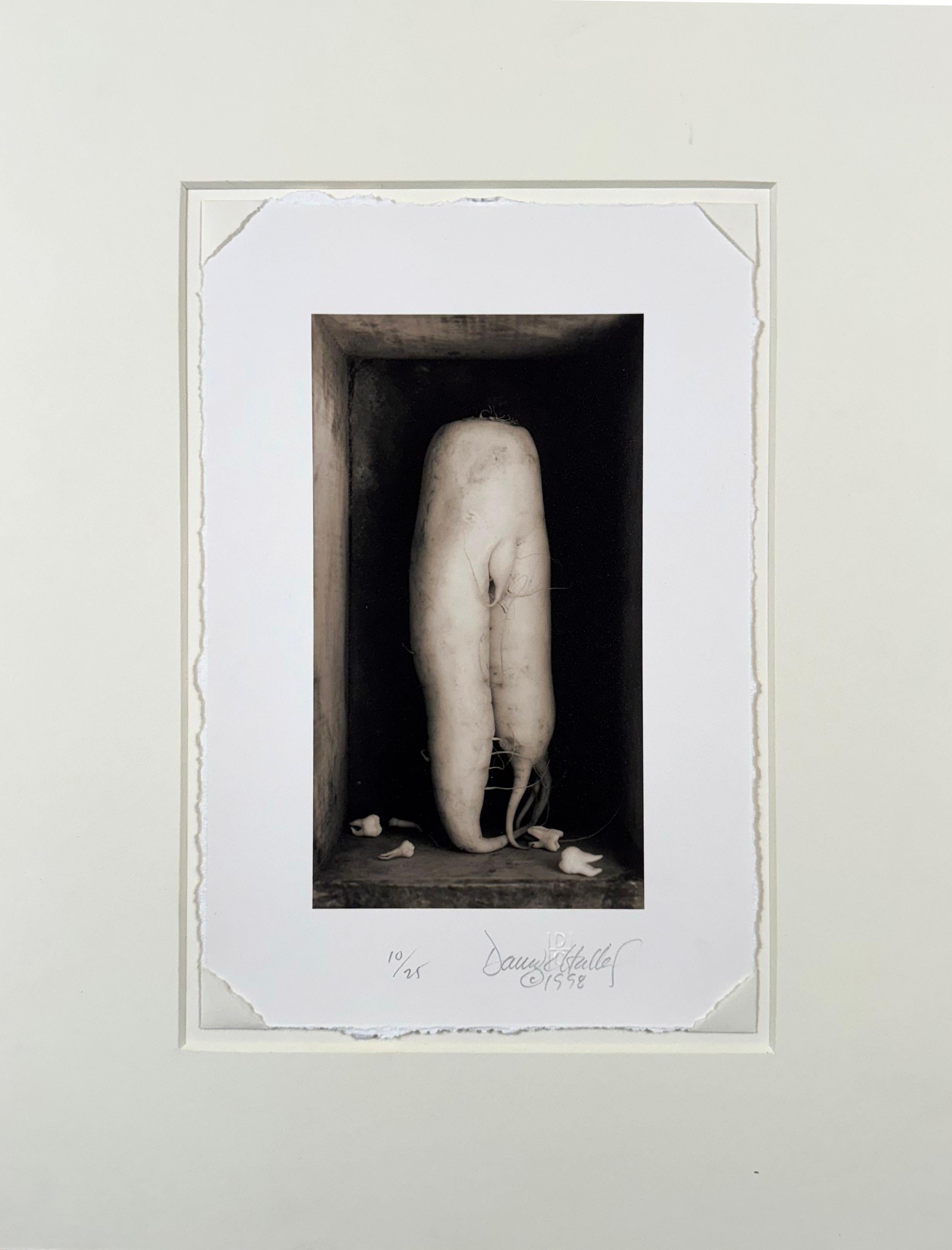 Daikon With Teeth, by David Halliday For Sale 2