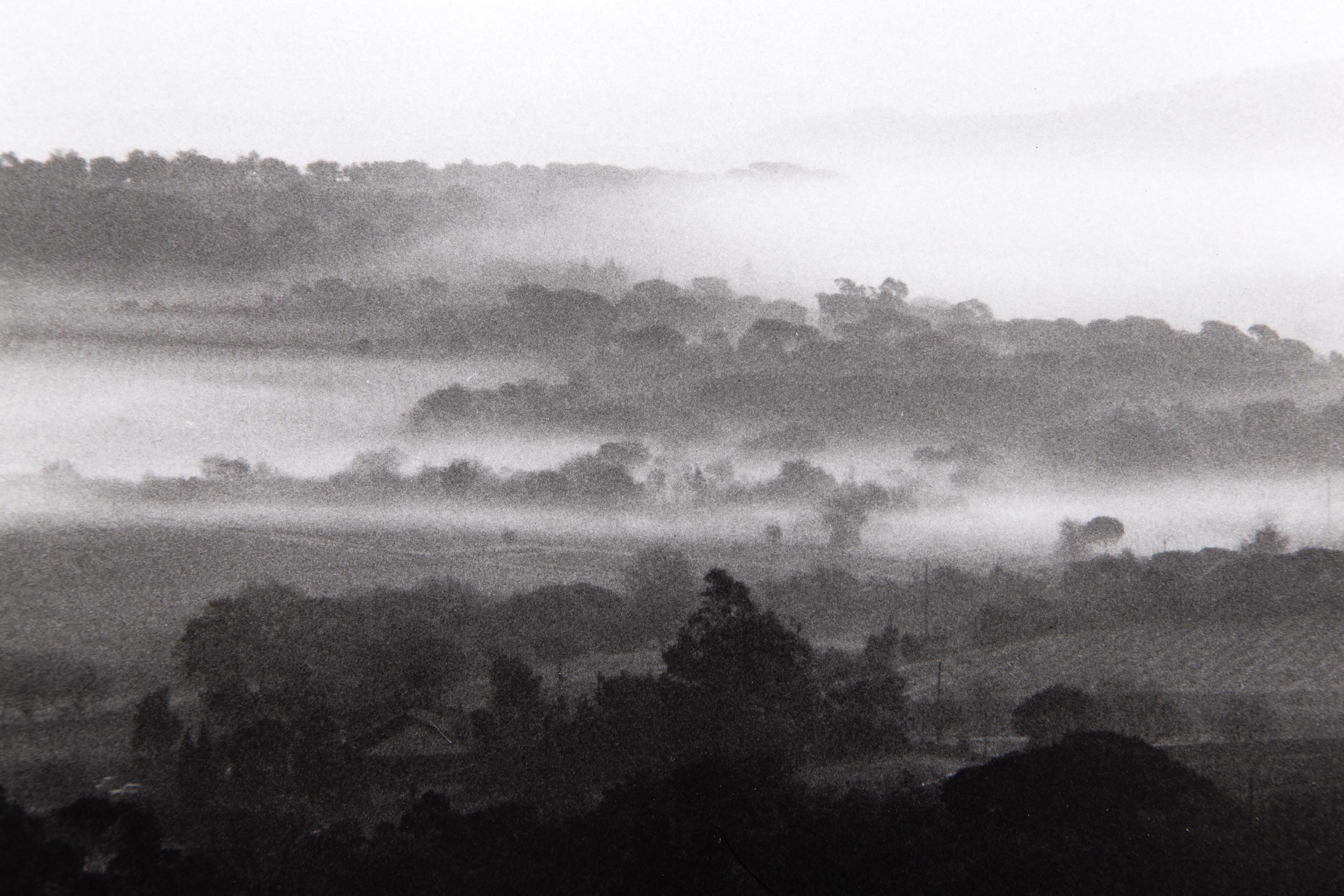 Viñedos, Fotografía de David Hamilton en venta 1