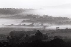 Vineyards, Landscape Photograph by David Hamilton