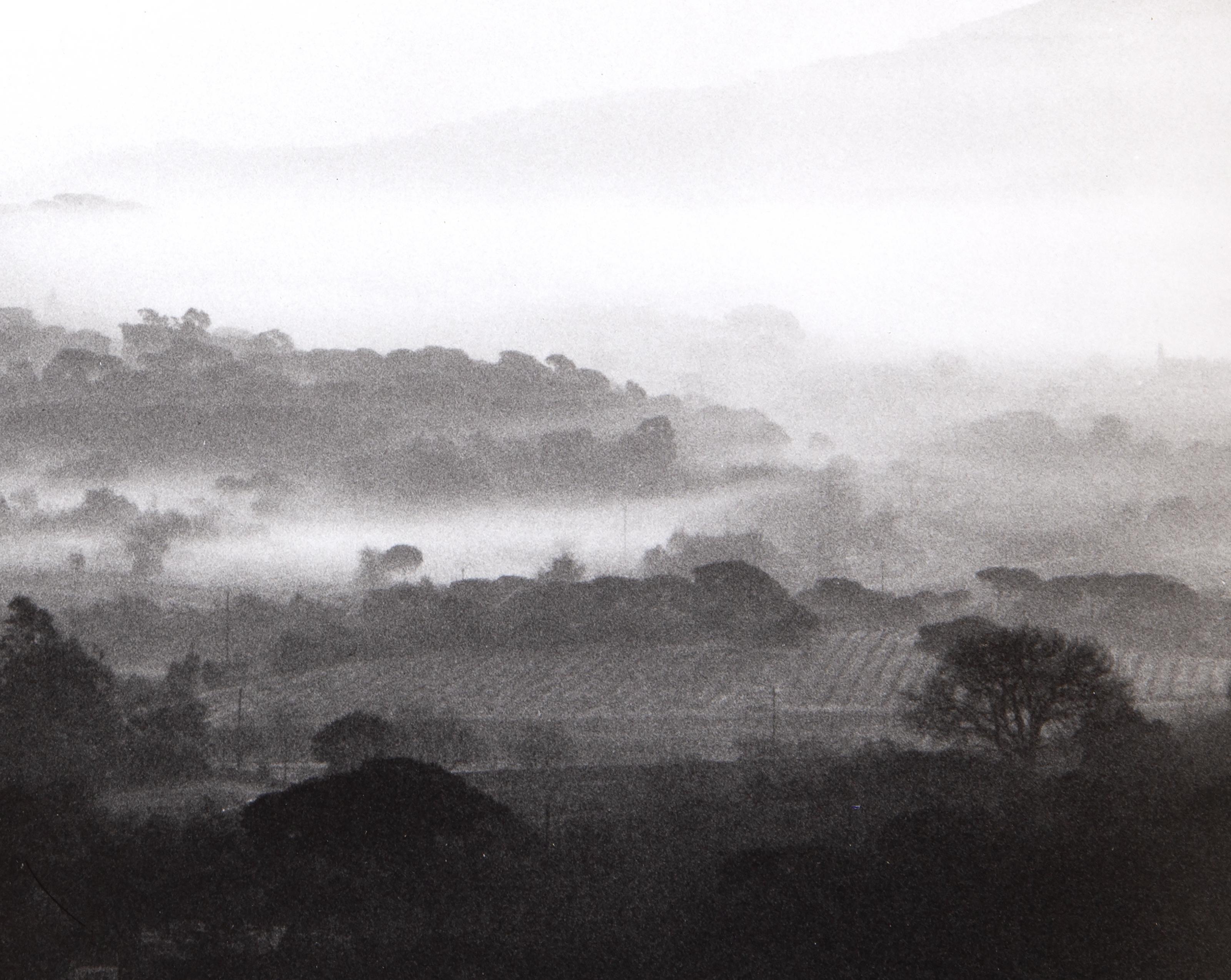 Viñedos, Fotografía de David Hamilton en venta 2