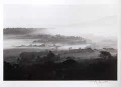 Vineyards, photographie de David Hamilton