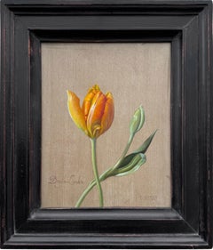 Banja Luka Tulip