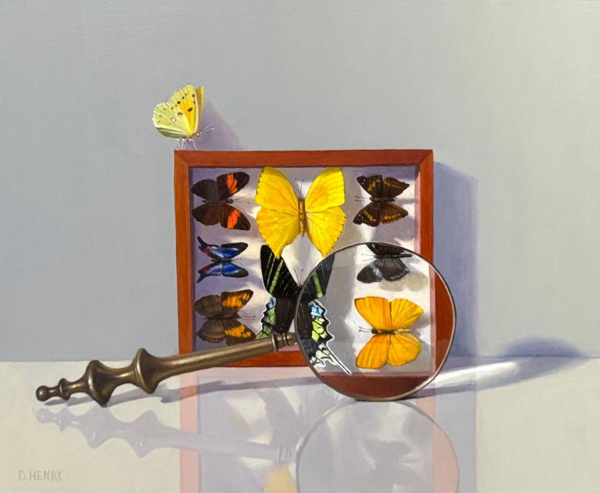 David Henry Still-Life Painting - Butterflies