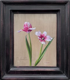 Rembrandt Tulip
