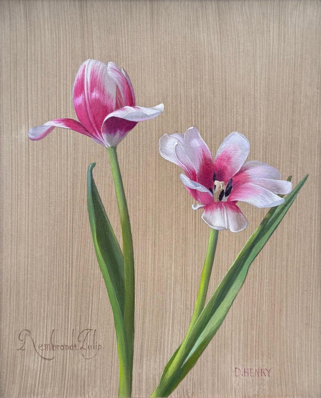 David Henry Still-Life Painting – Rembrandt-Tulpe