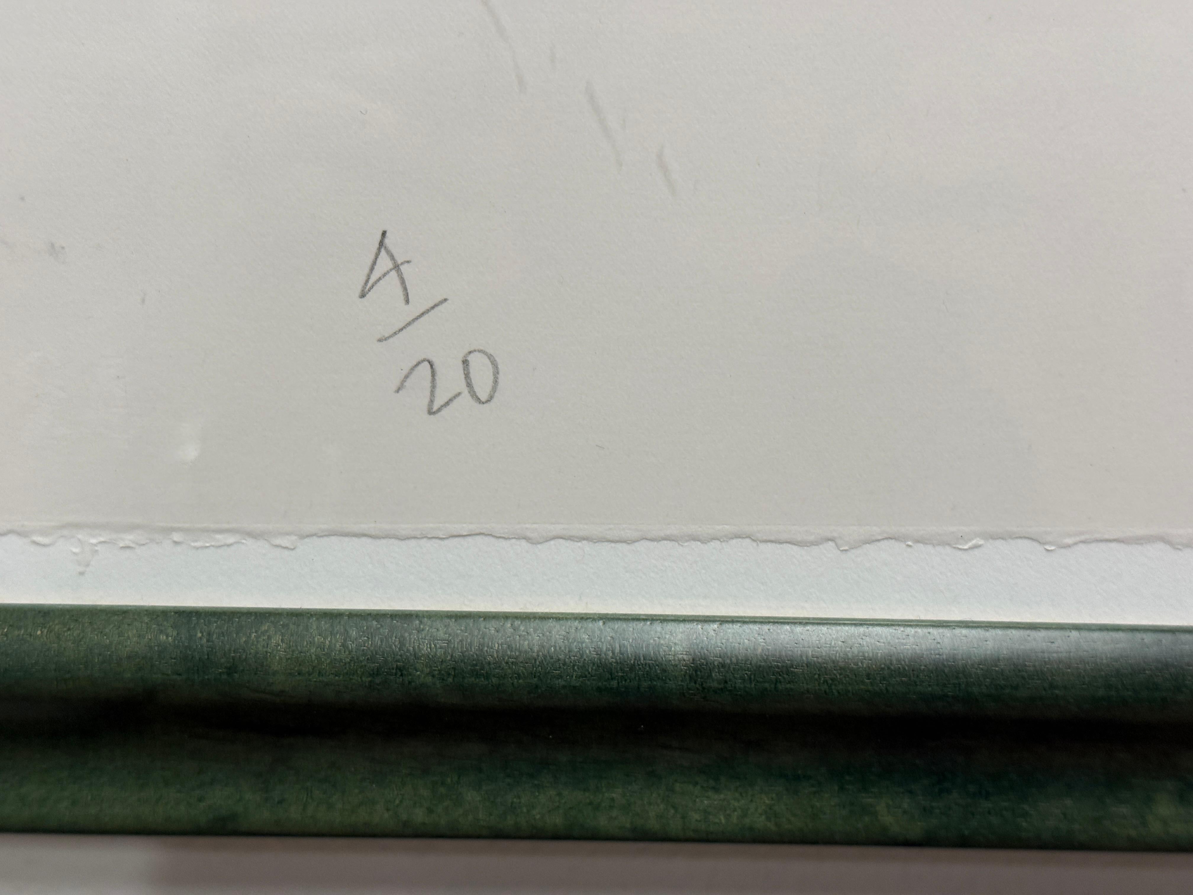 David Hockney 112 L.A. Besucher Folio 7 Lithos & Titelblatt Ed 20 Orig Quittung im Angebot 2