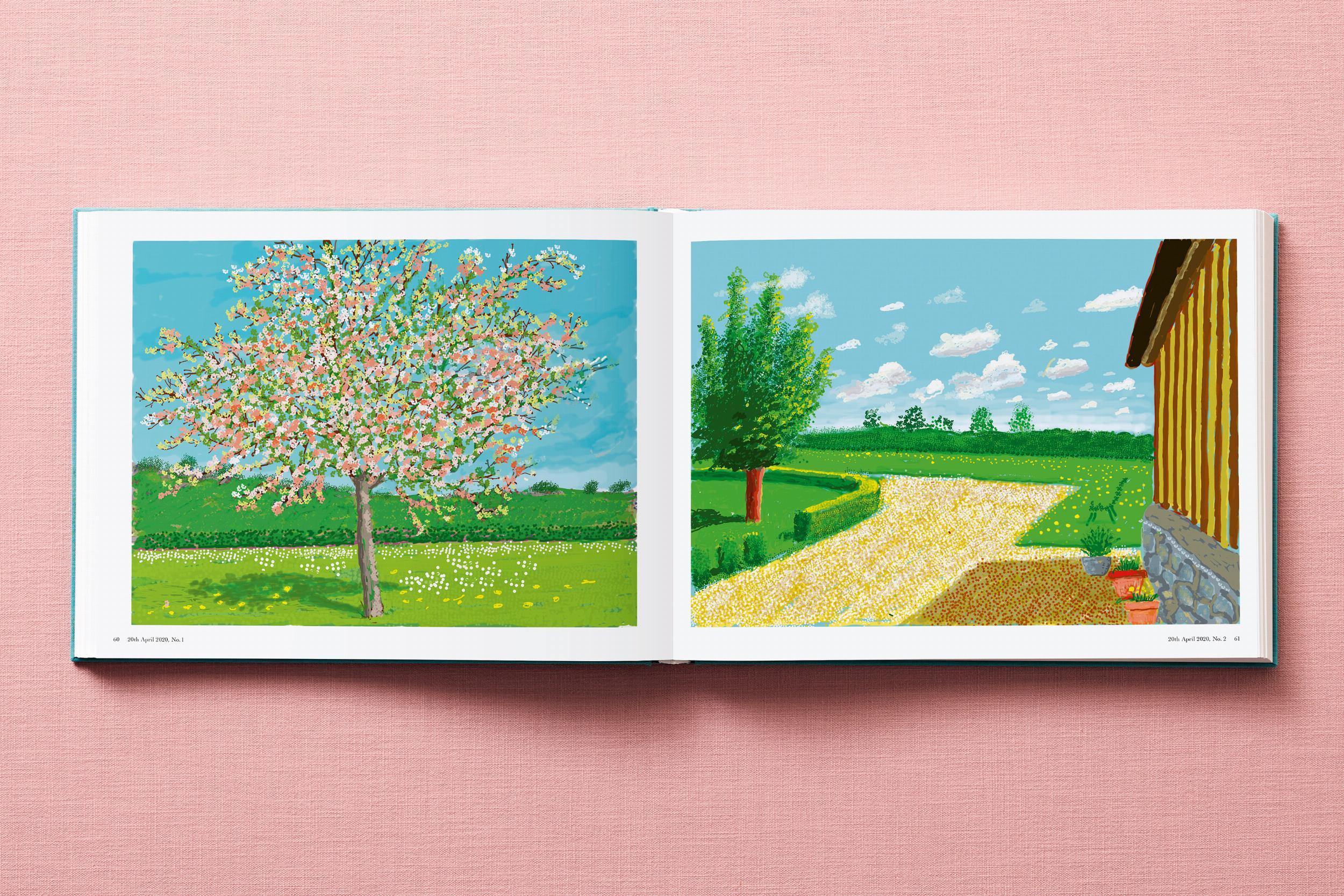 David Hockney. 220 pour 2020 en vente 4